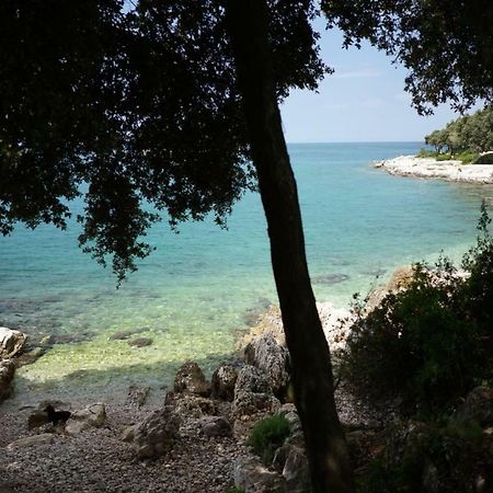 Guesthouse Galeb ヴルサル エクステリア 写真