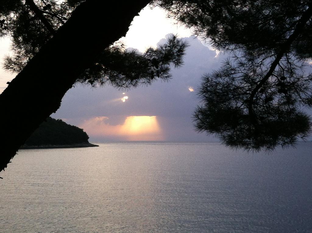 Guesthouse Galeb ヴルサル エクステリア 写真