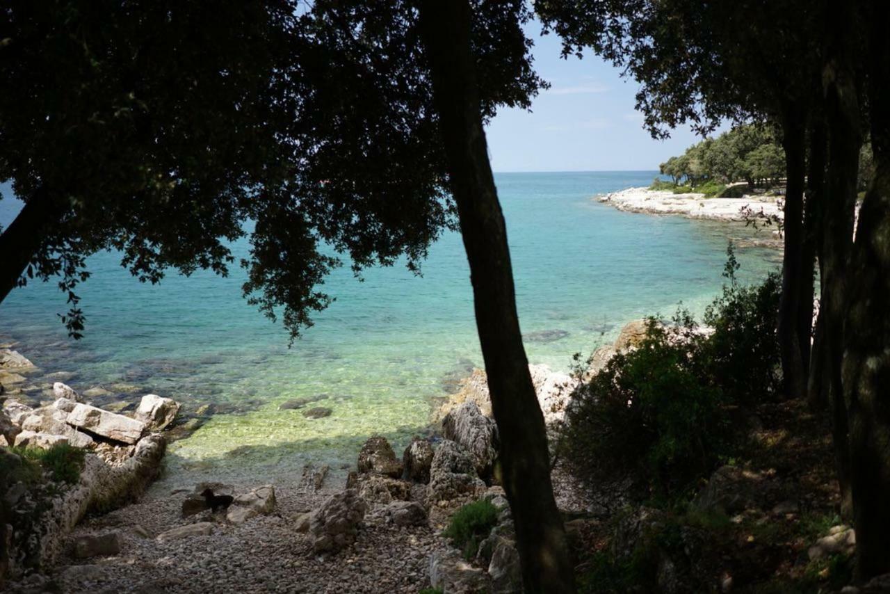 Guesthouse Galeb ヴルサル エクステリア 写真